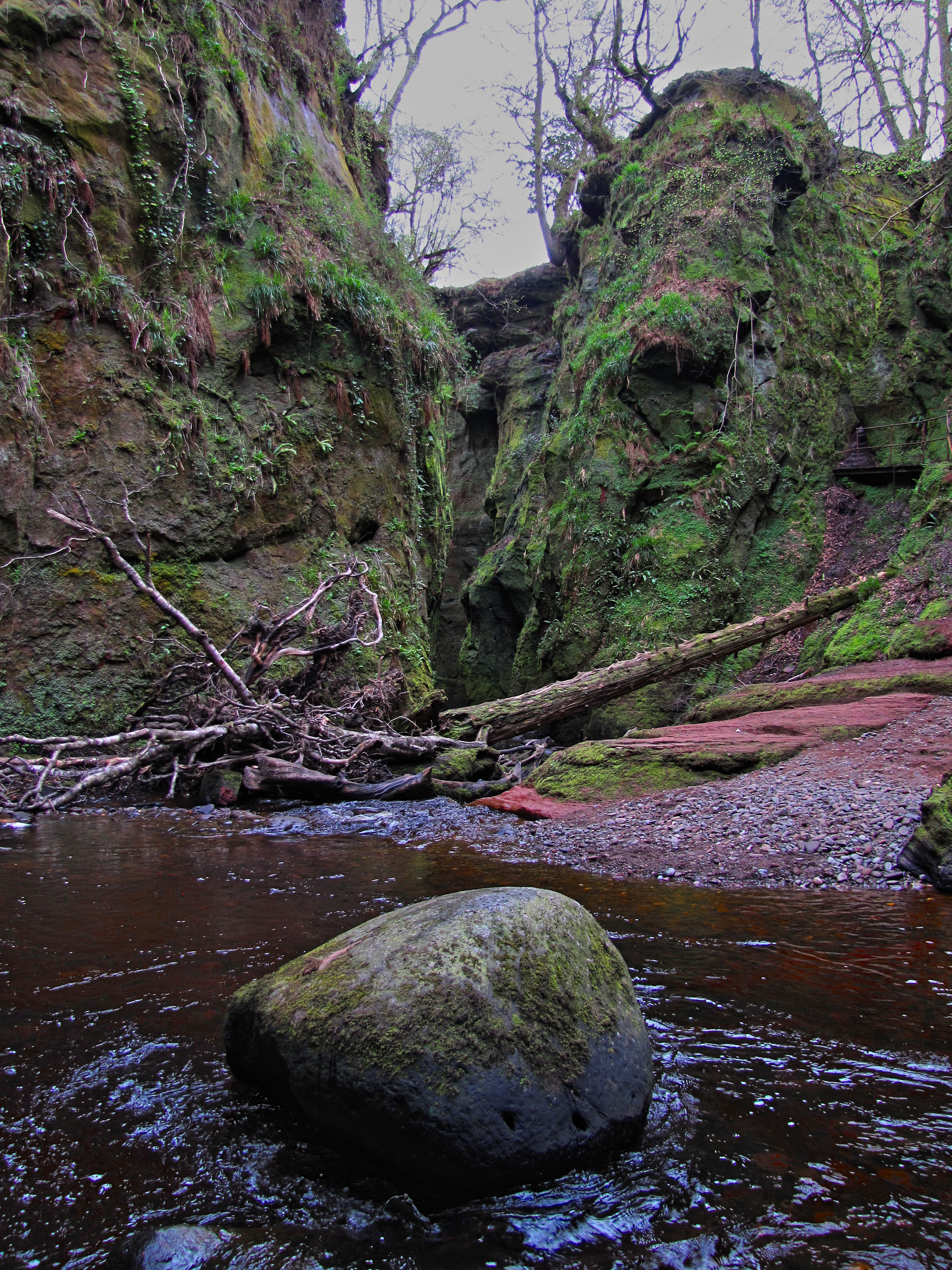 HDR-IMG_4207