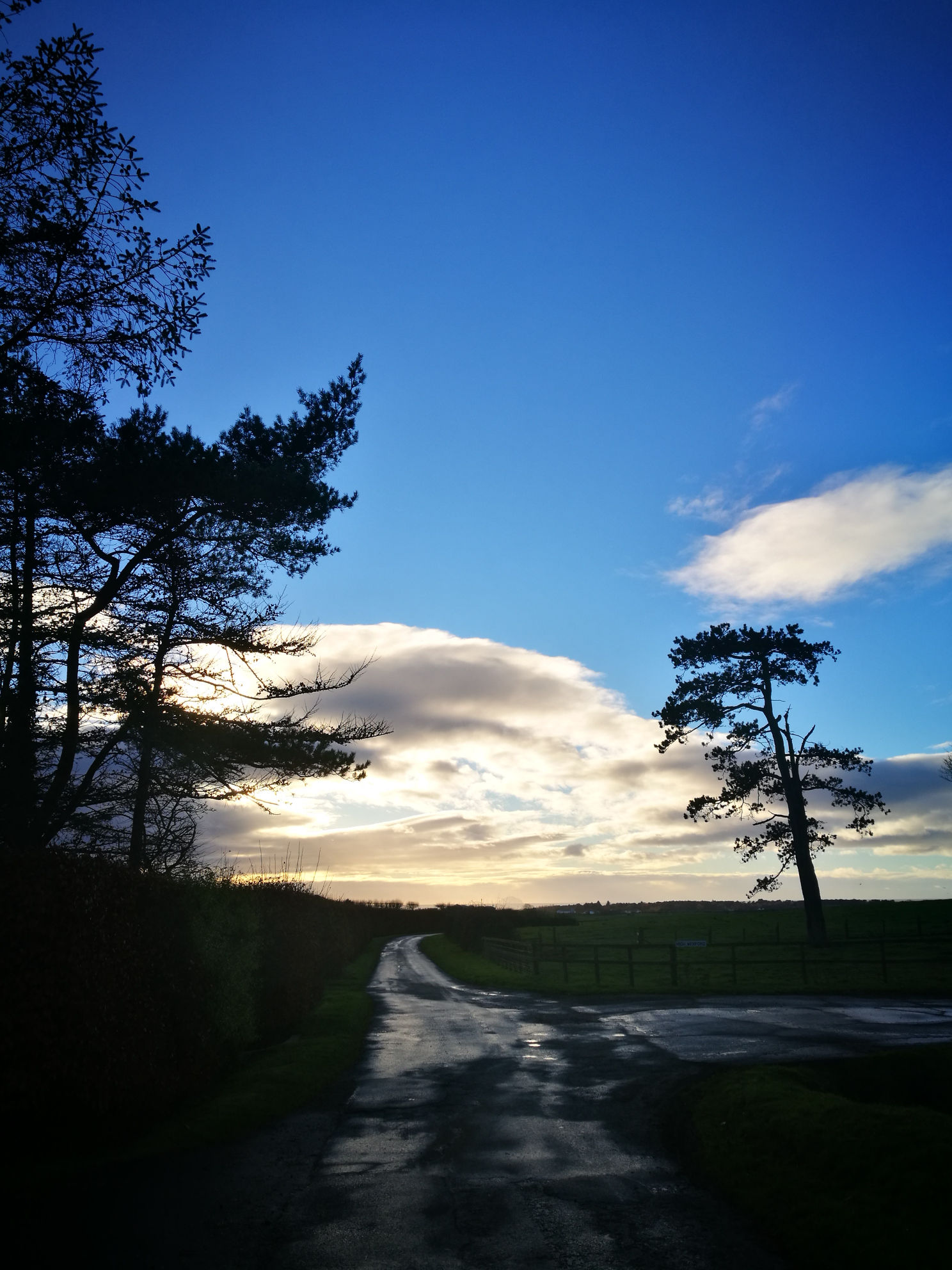 Road, sky and trees