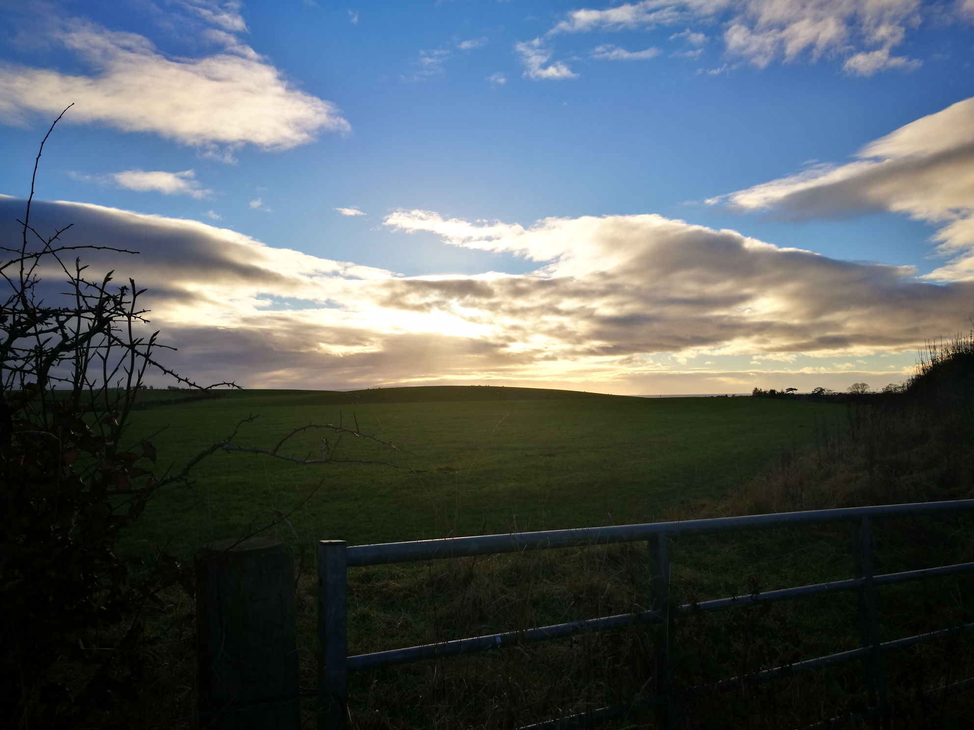 Green field and sky