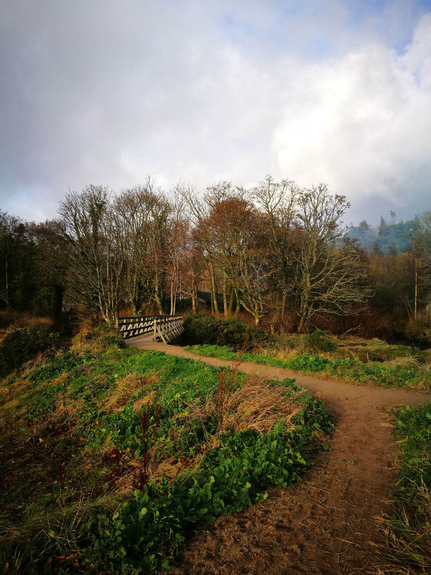 Fisherman's Walk