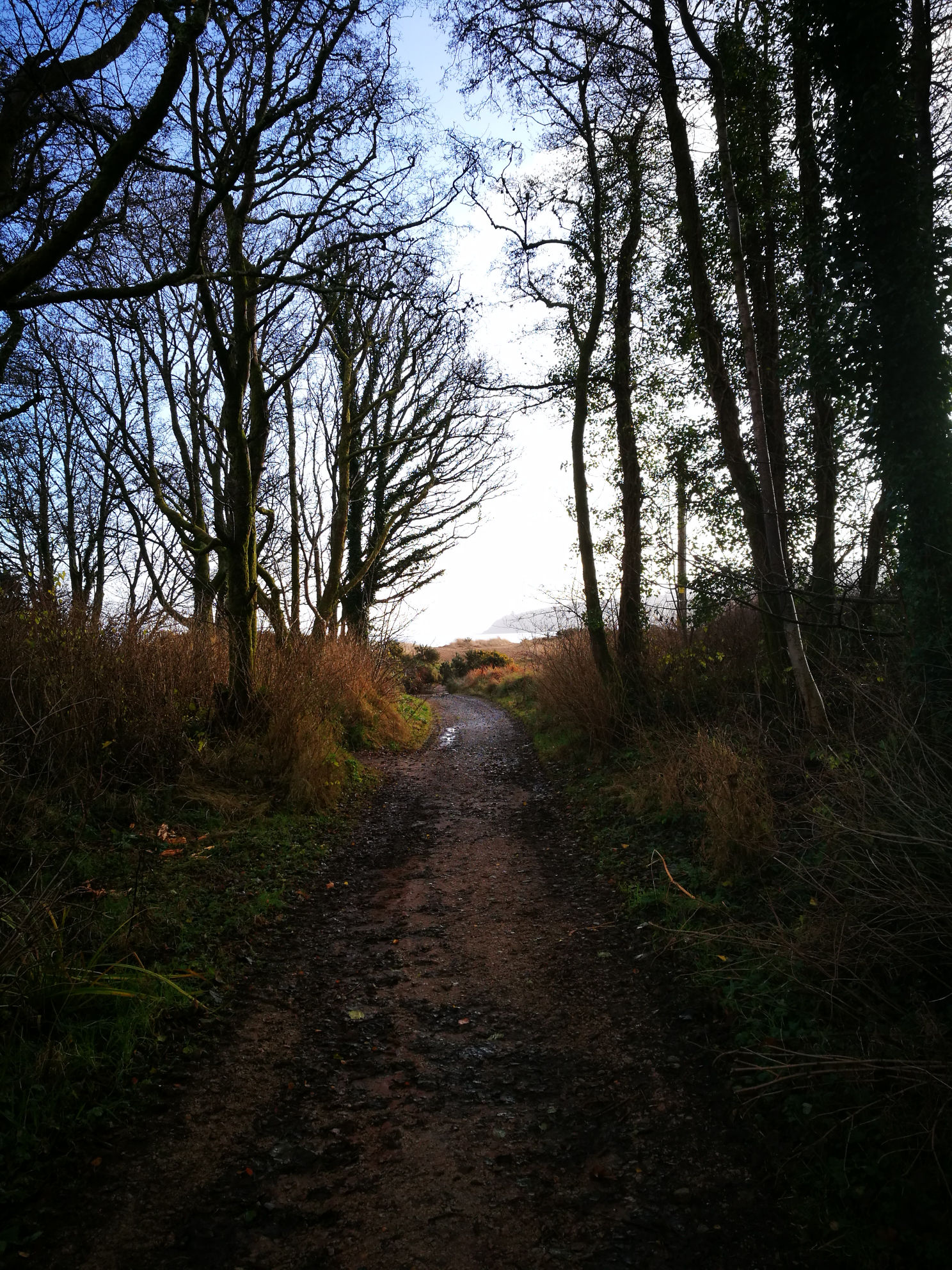 Fisherman's Walk