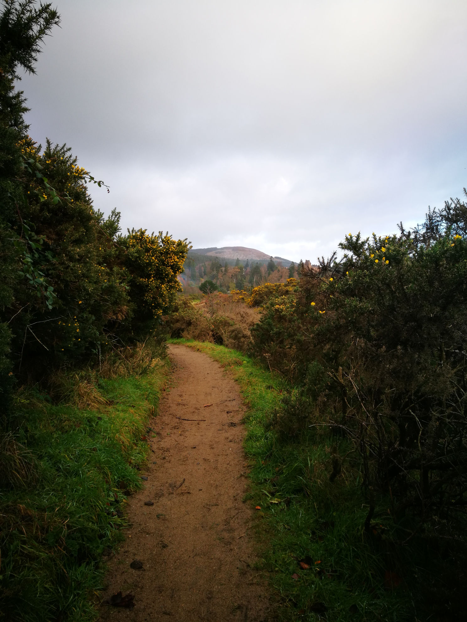 Fisherman's Walk