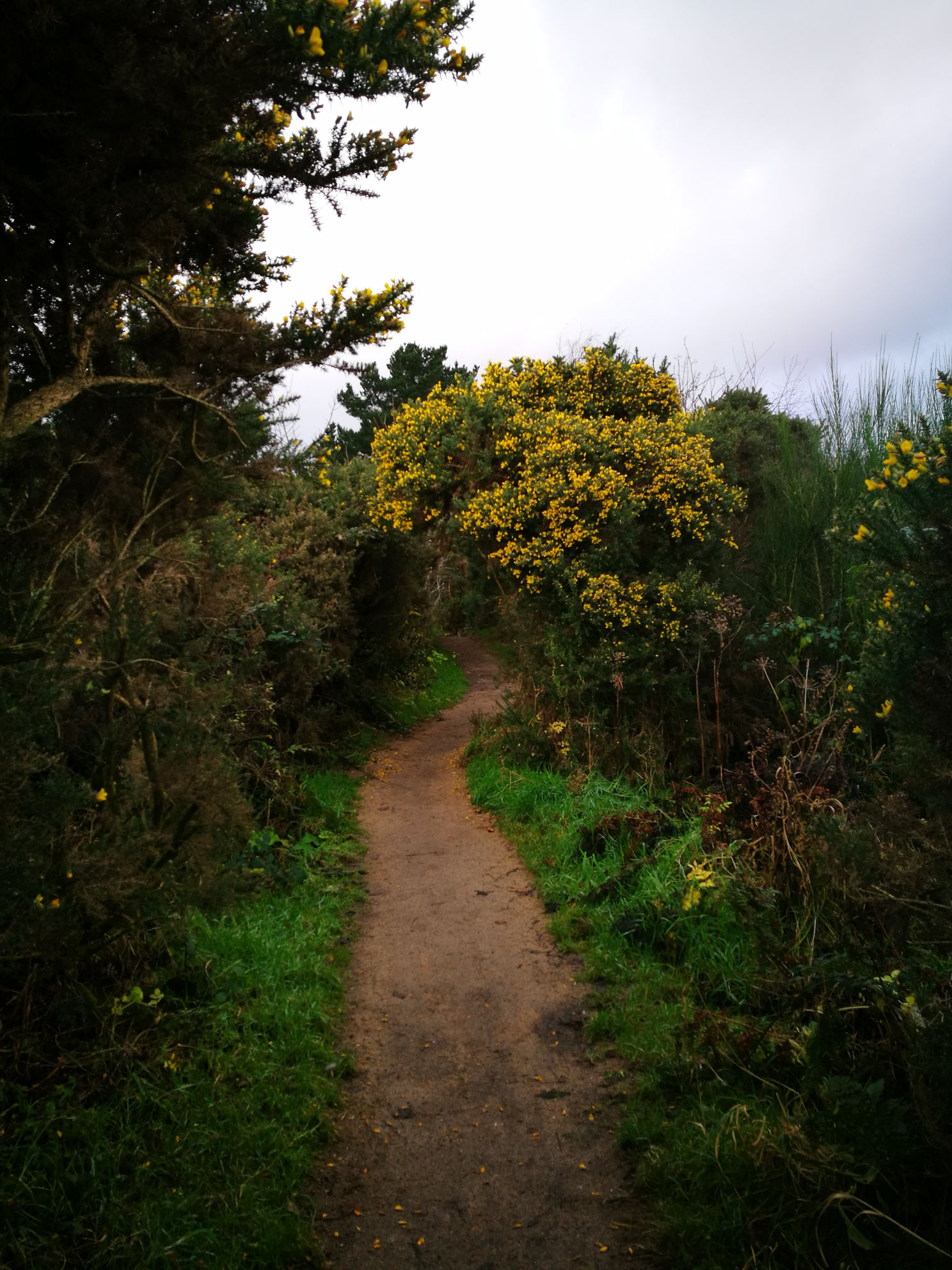 Fisherman's Walk