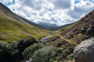 Small footpath leading into the lush green glen to Loch na Davie