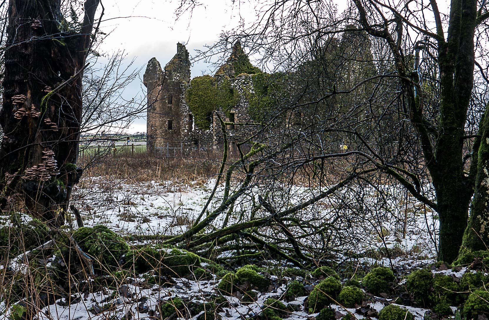 Dundonald (1 of 1)-11