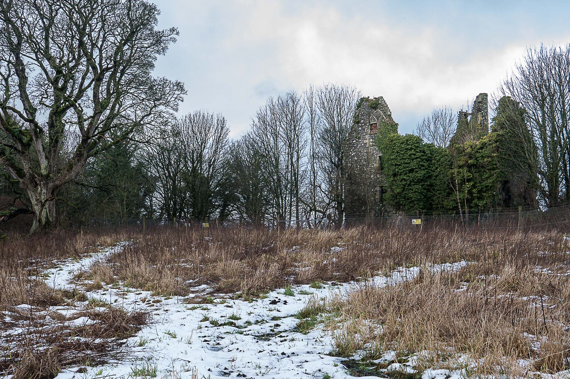 Dundonald (1 of 1)-13