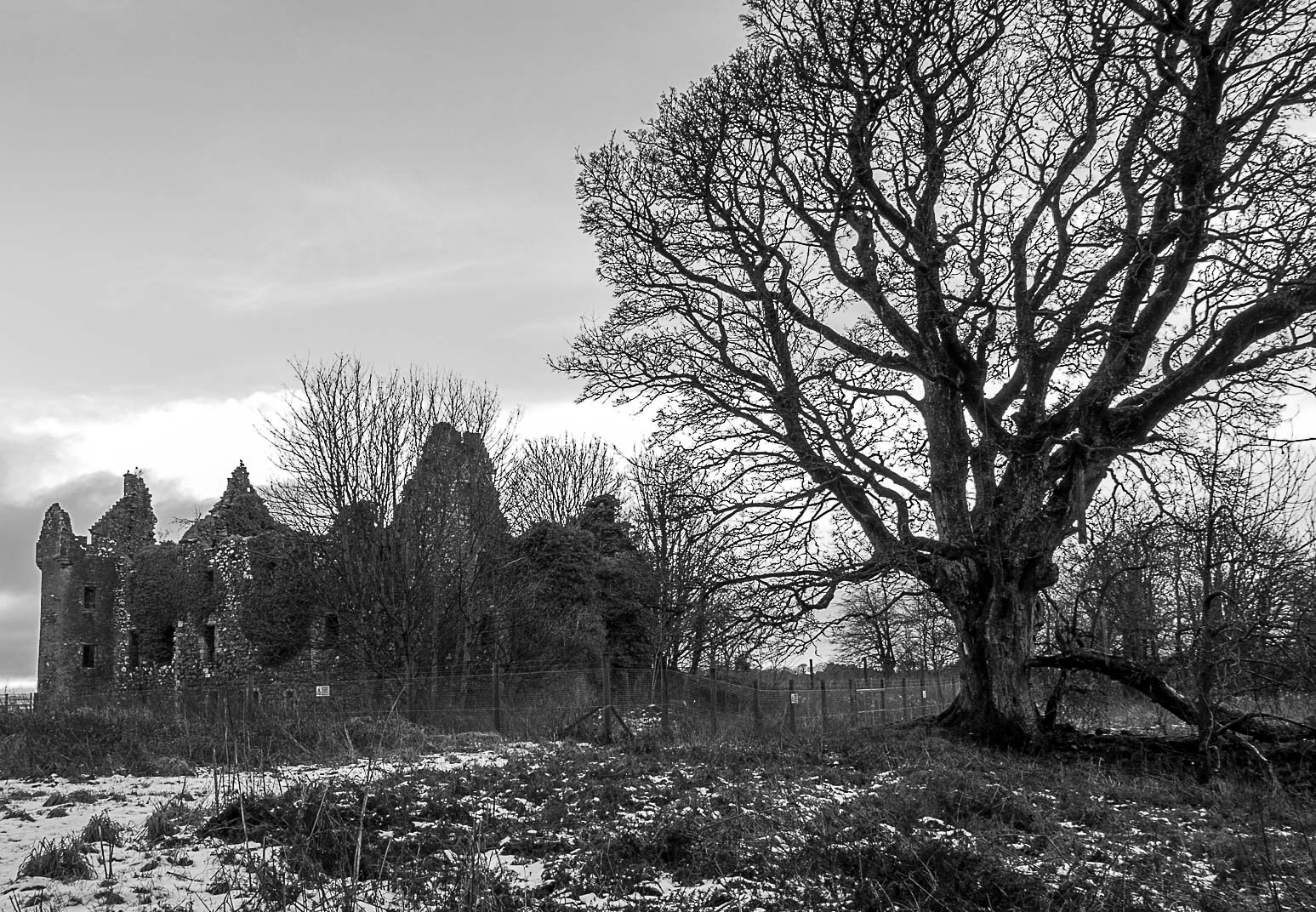 Dundonald (1 of 1)-23