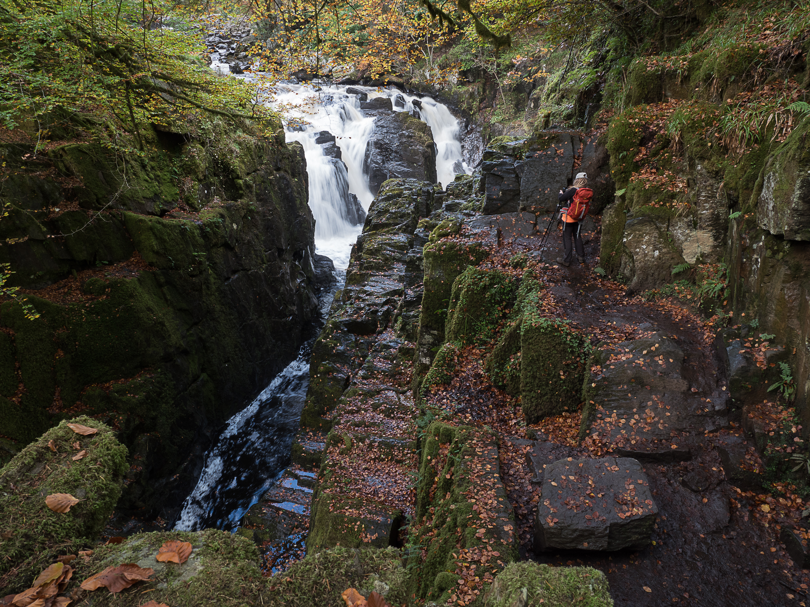 Perthshire (1 of 1)-59