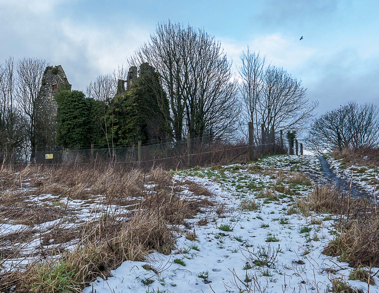 Dundonald (1 of 1)-21