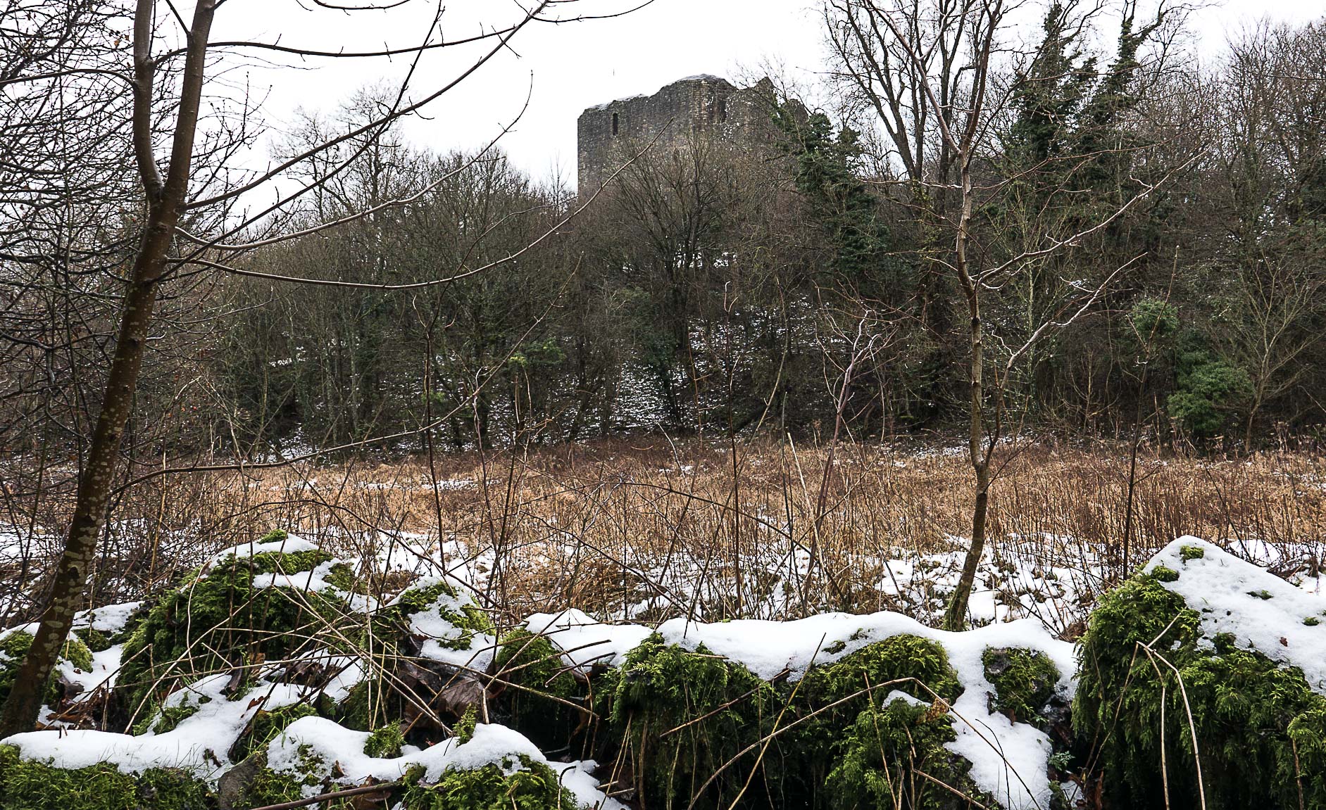 Dundonald (1 of 1)-25