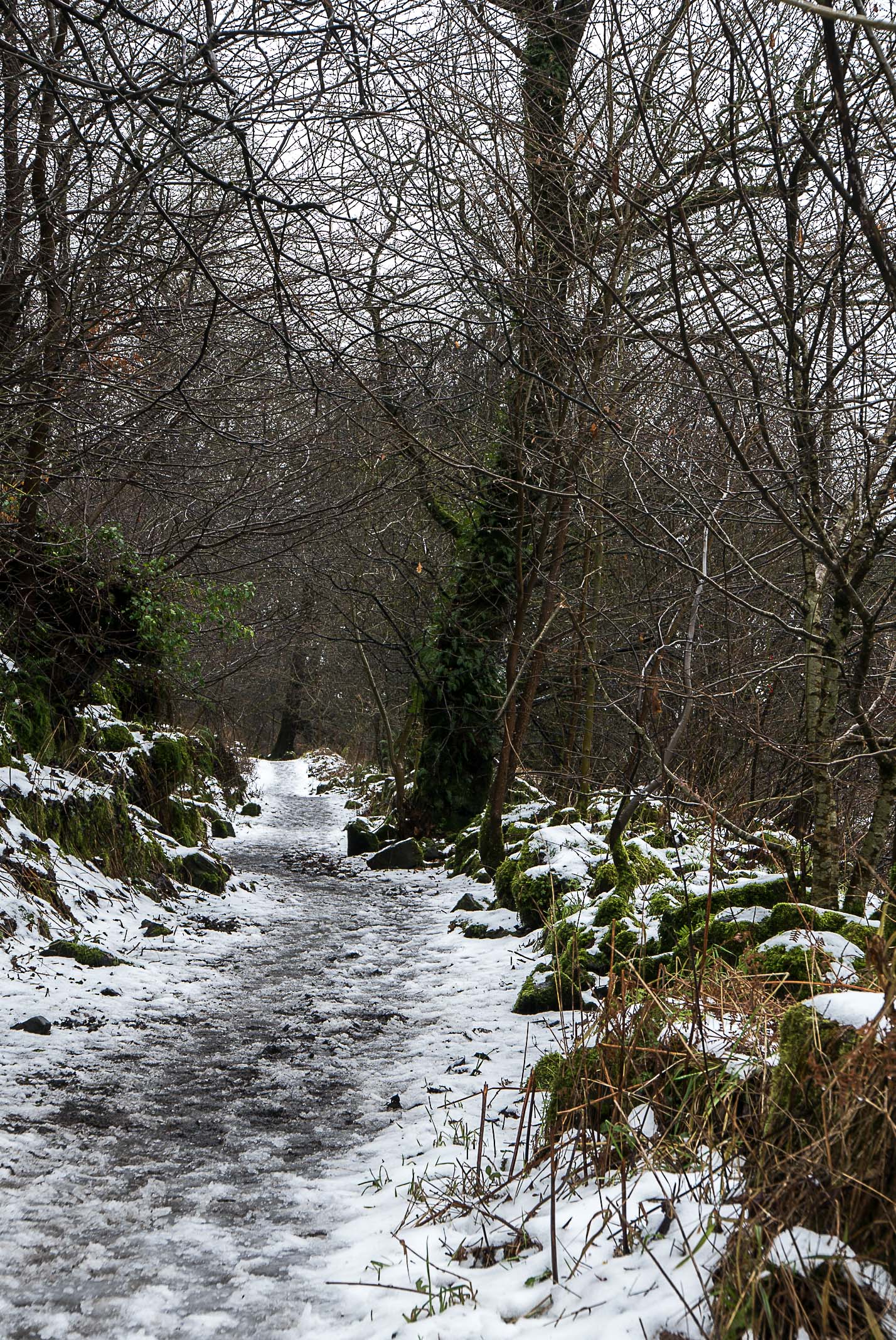 Dundonald (1 of 1)-3