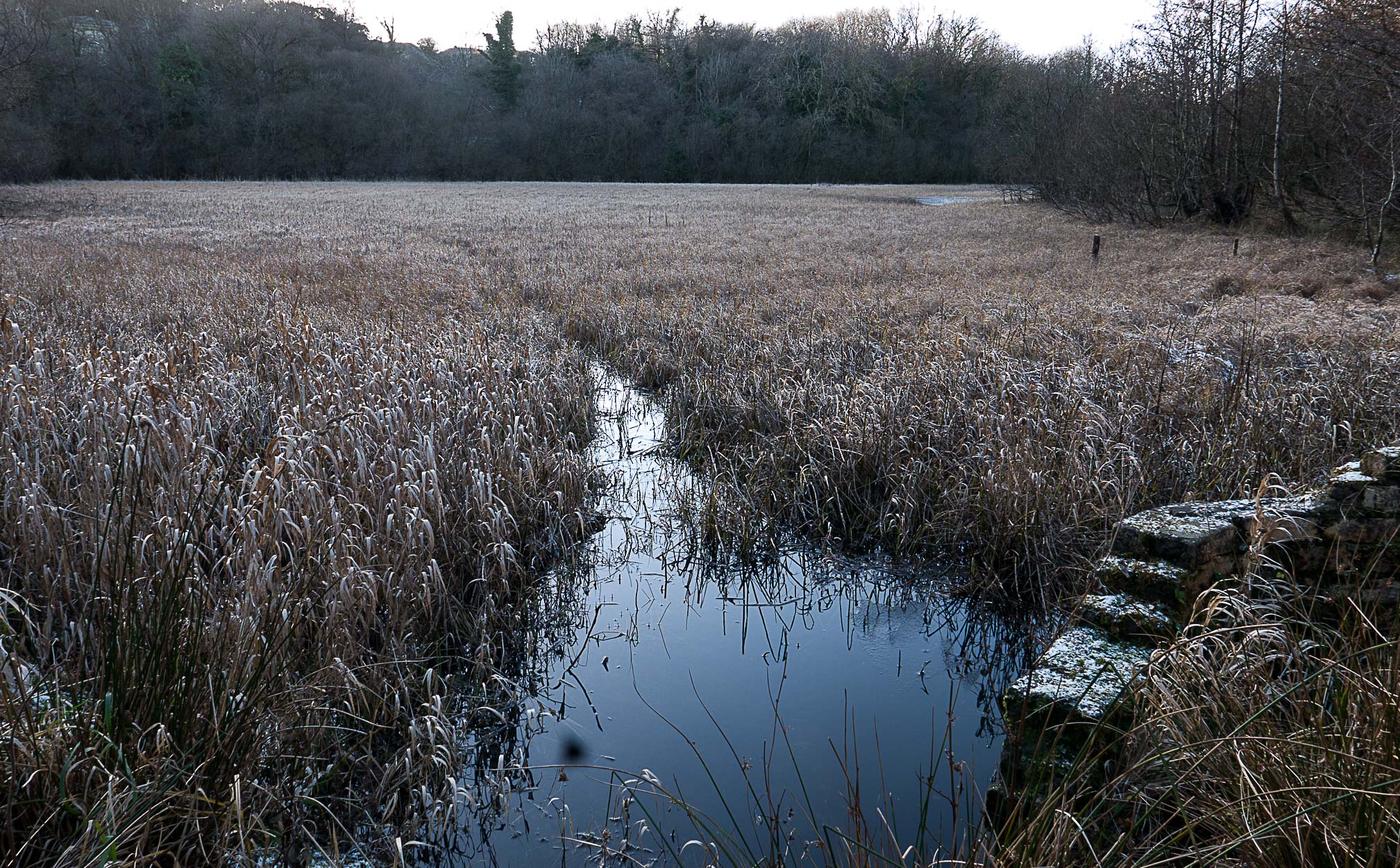 Dundonald (1 of 1)-45