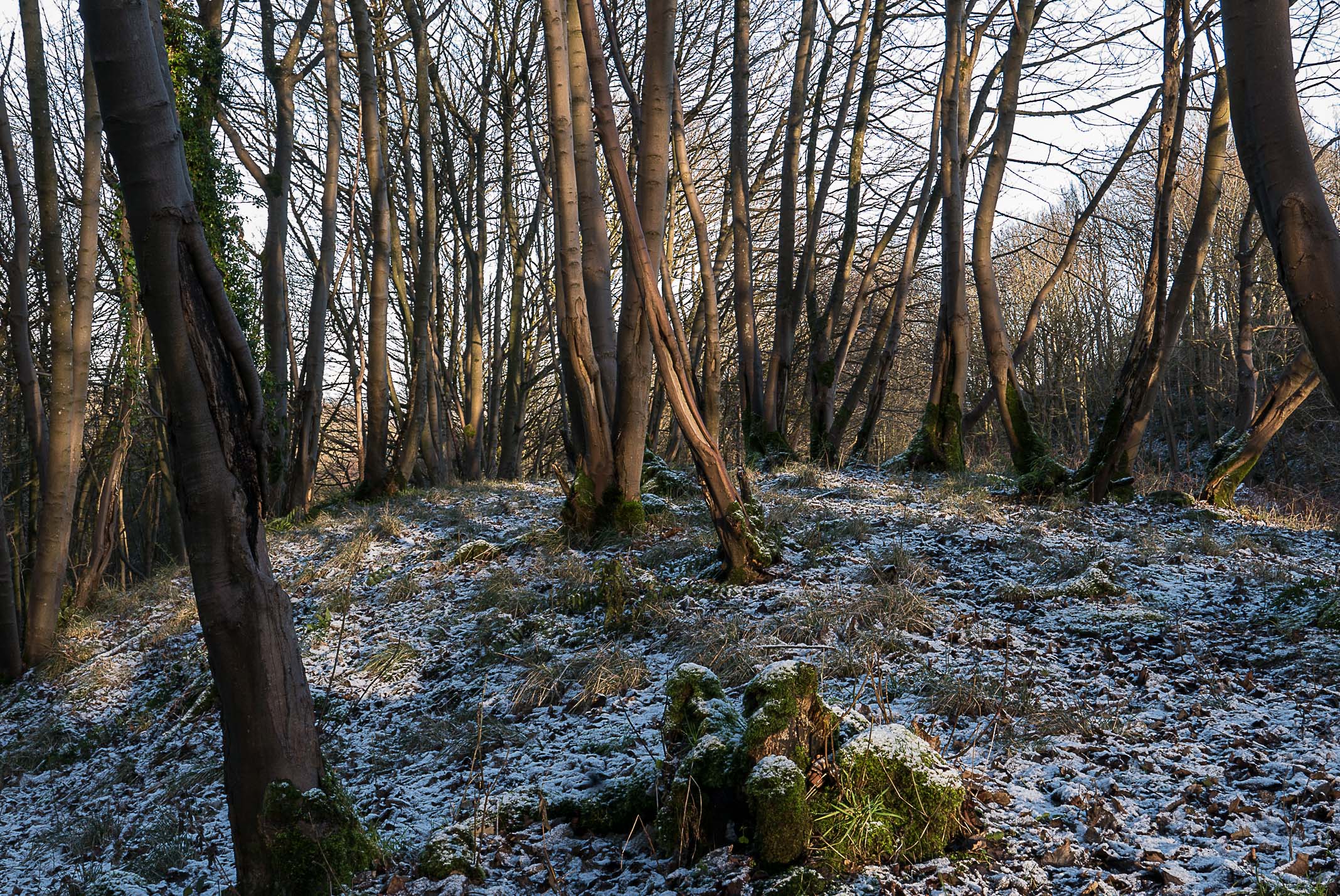 Dundonald (1 of 1)-46