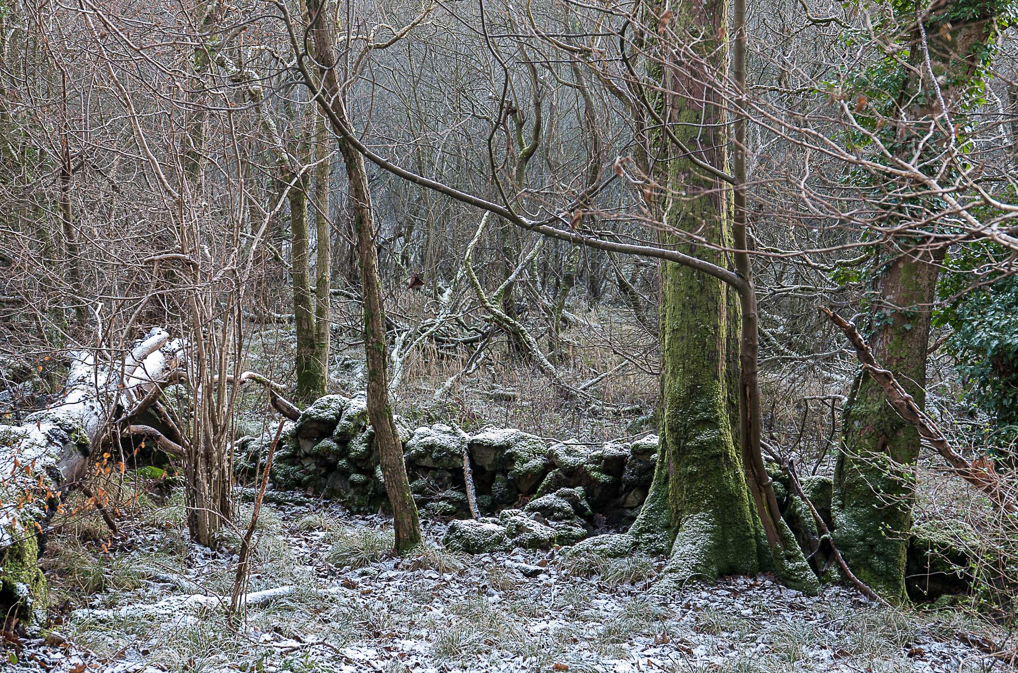 Dundonald (1 of 1)-47