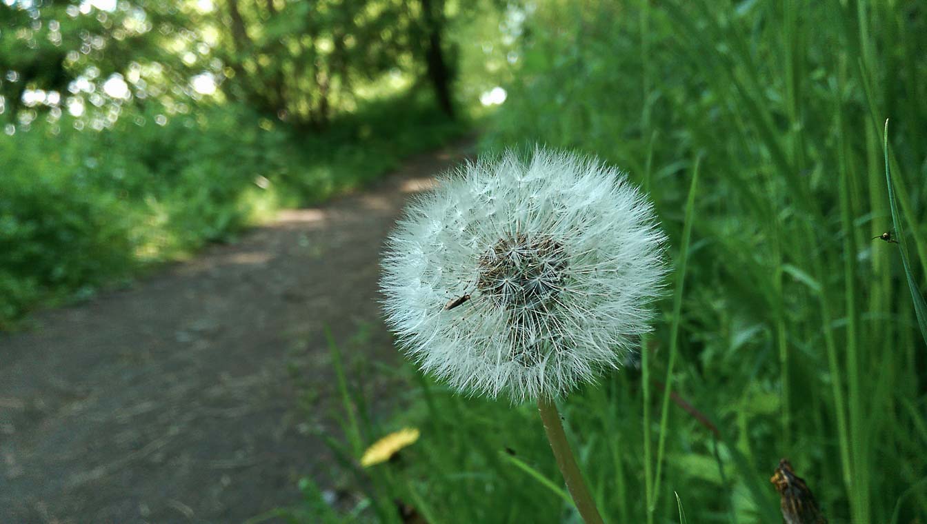 Dundonald (1 of 1)-57