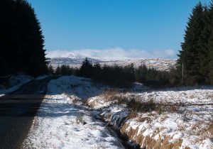 Road lined with pine trees, snow and snowy hills in the distance
