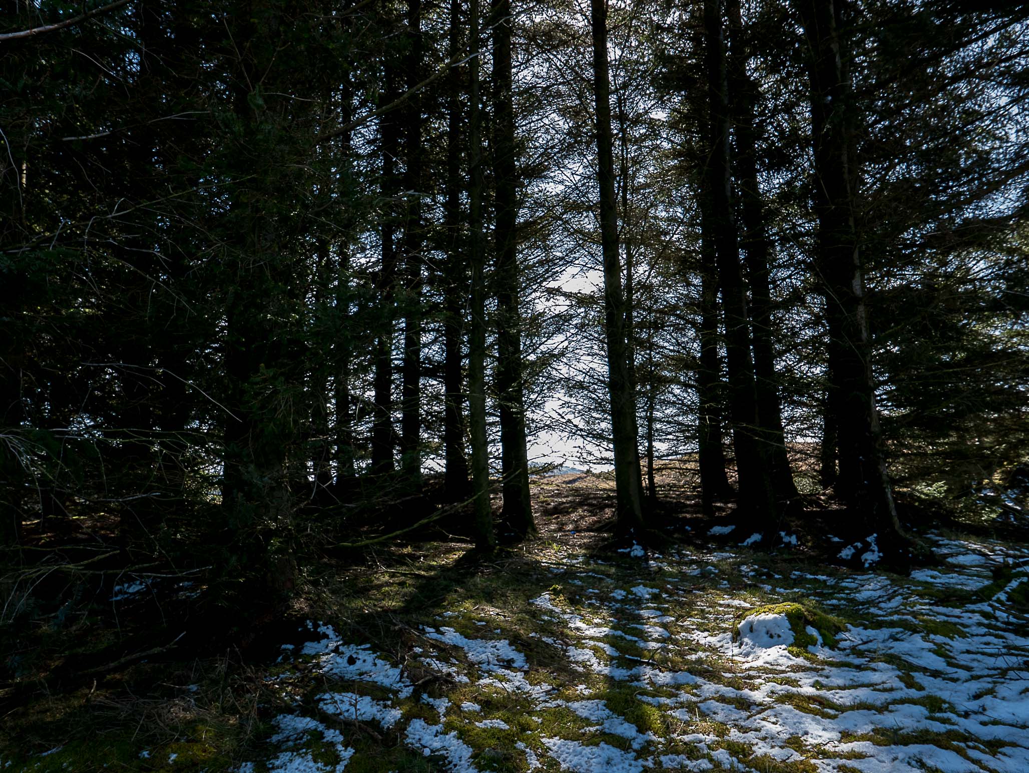 Ness Glen and Fort Carrick