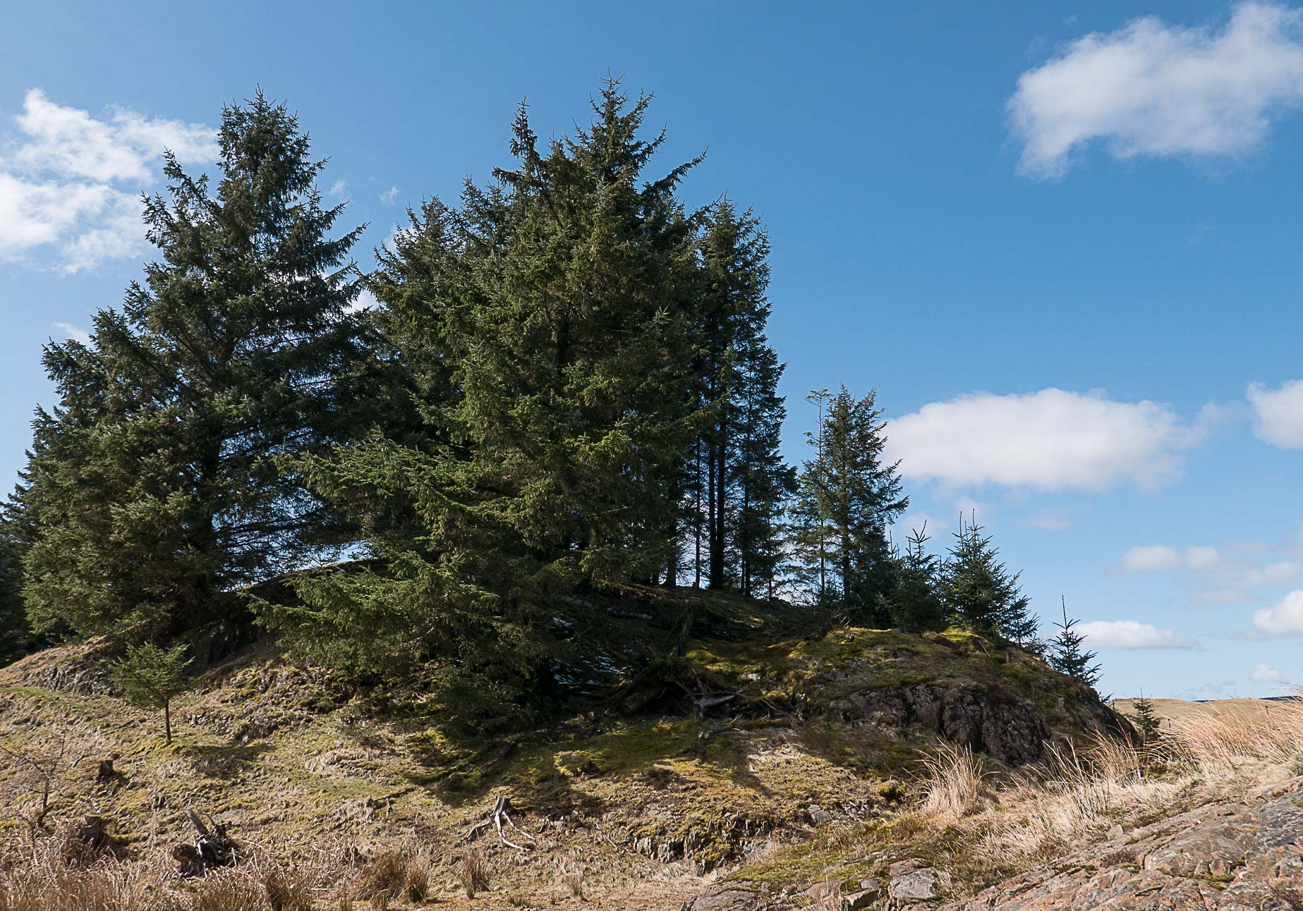 Ness Glen and Fort Carrick