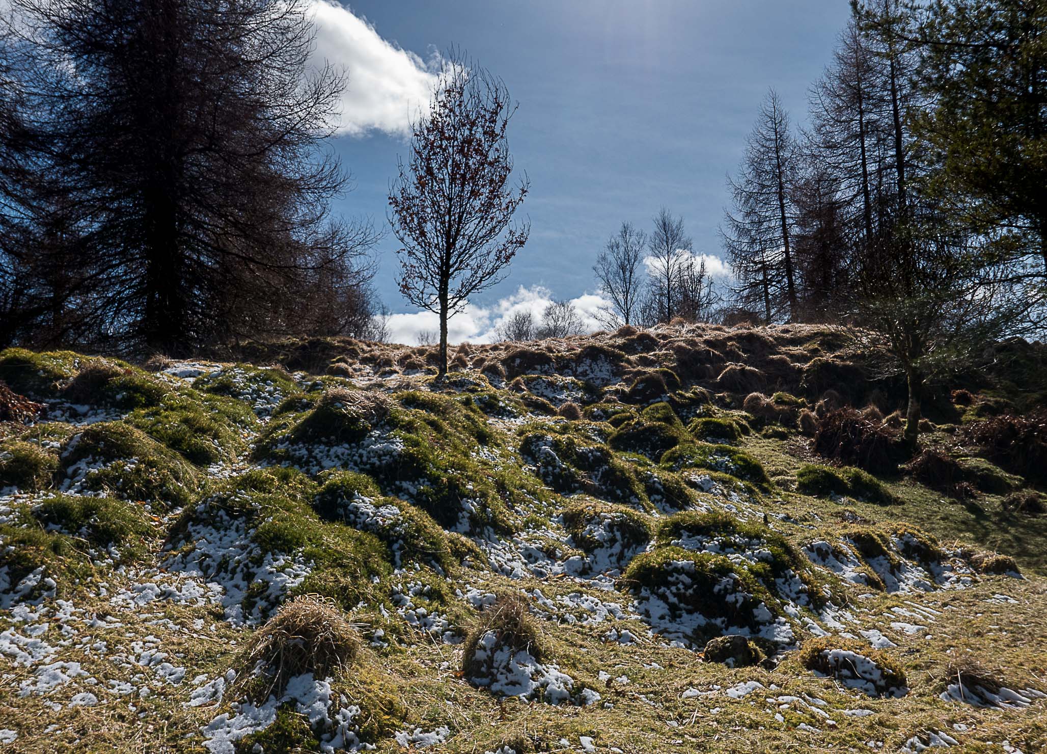 Ness Glen walk