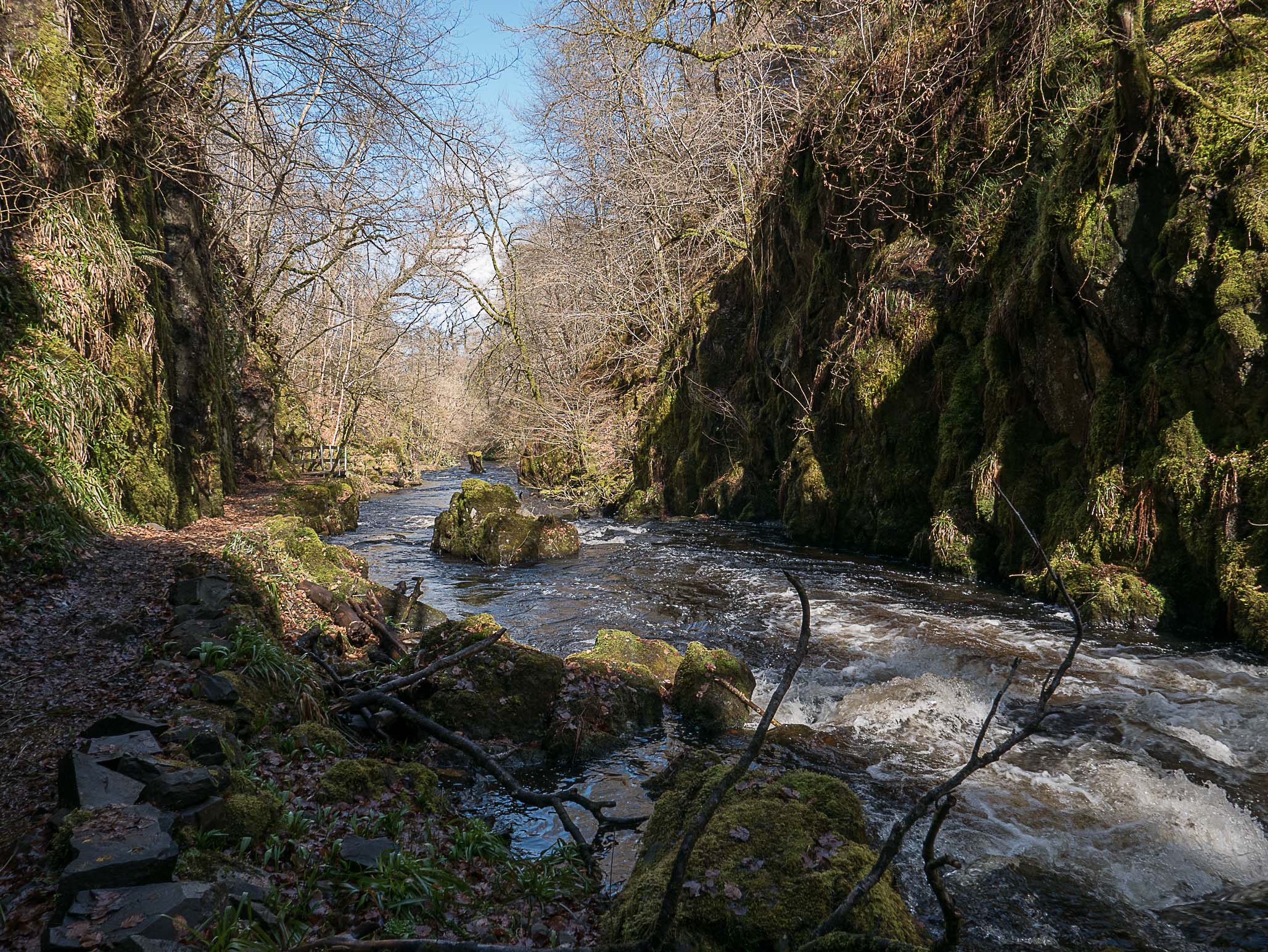 Ness Glen walk