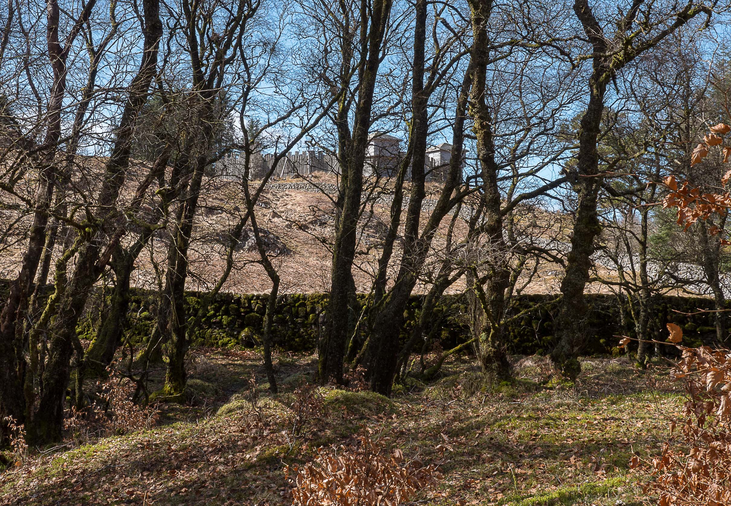Ness Glen and Fort Carrick