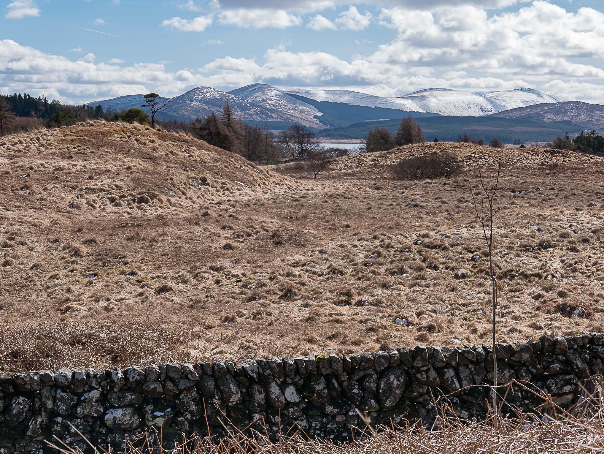 Ness Glen and Fort Carrick