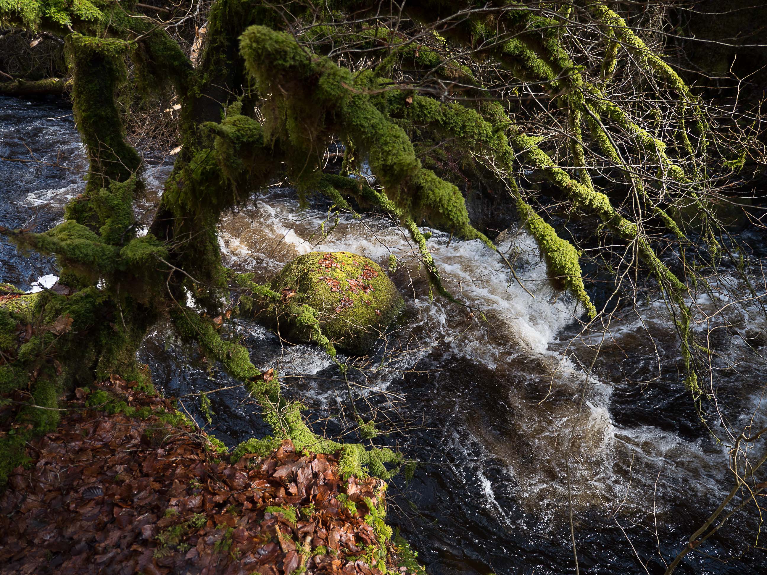 Ness Glen walk