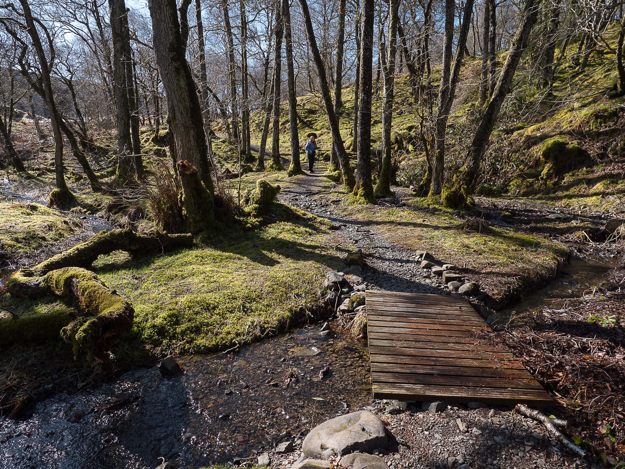 Ness Glen walk