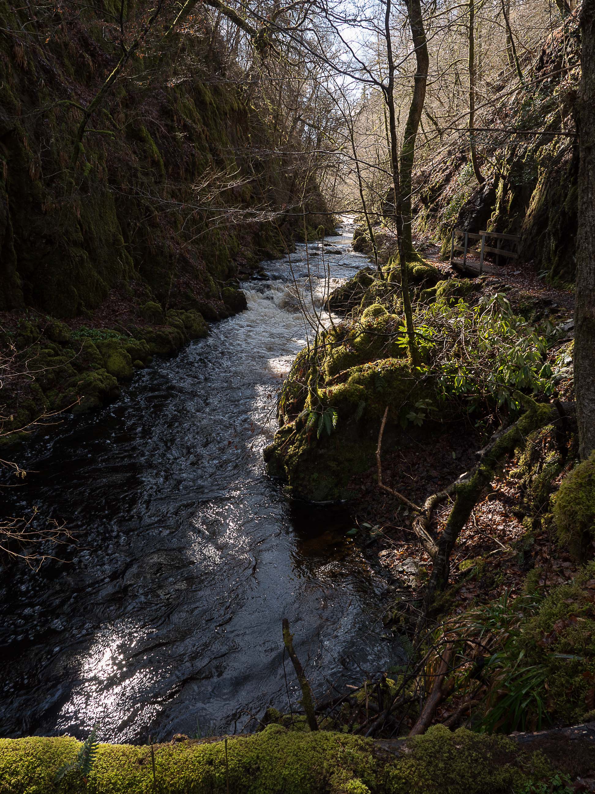 Ness Glen walk
