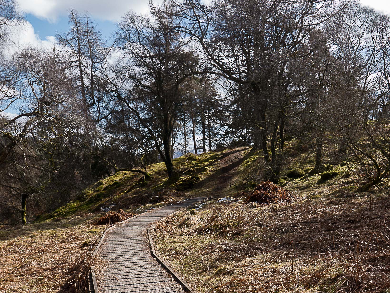 Ness Glen walk