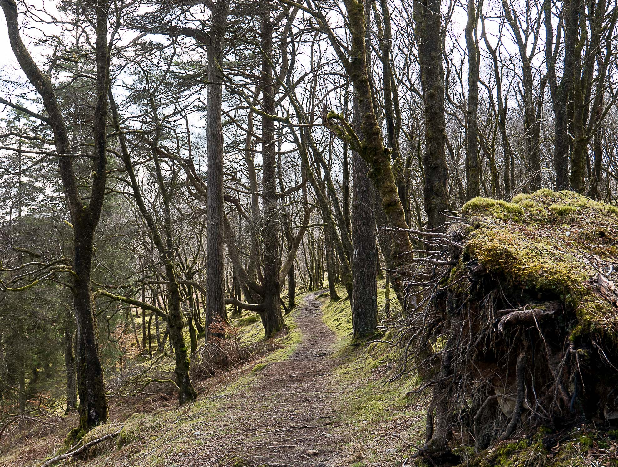Ness Glen walk