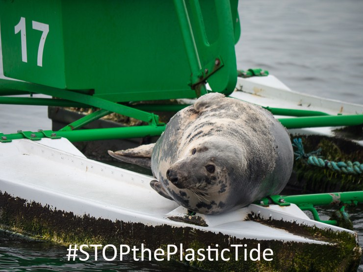 Queensferry (1 of 1)-16 copy.jpg