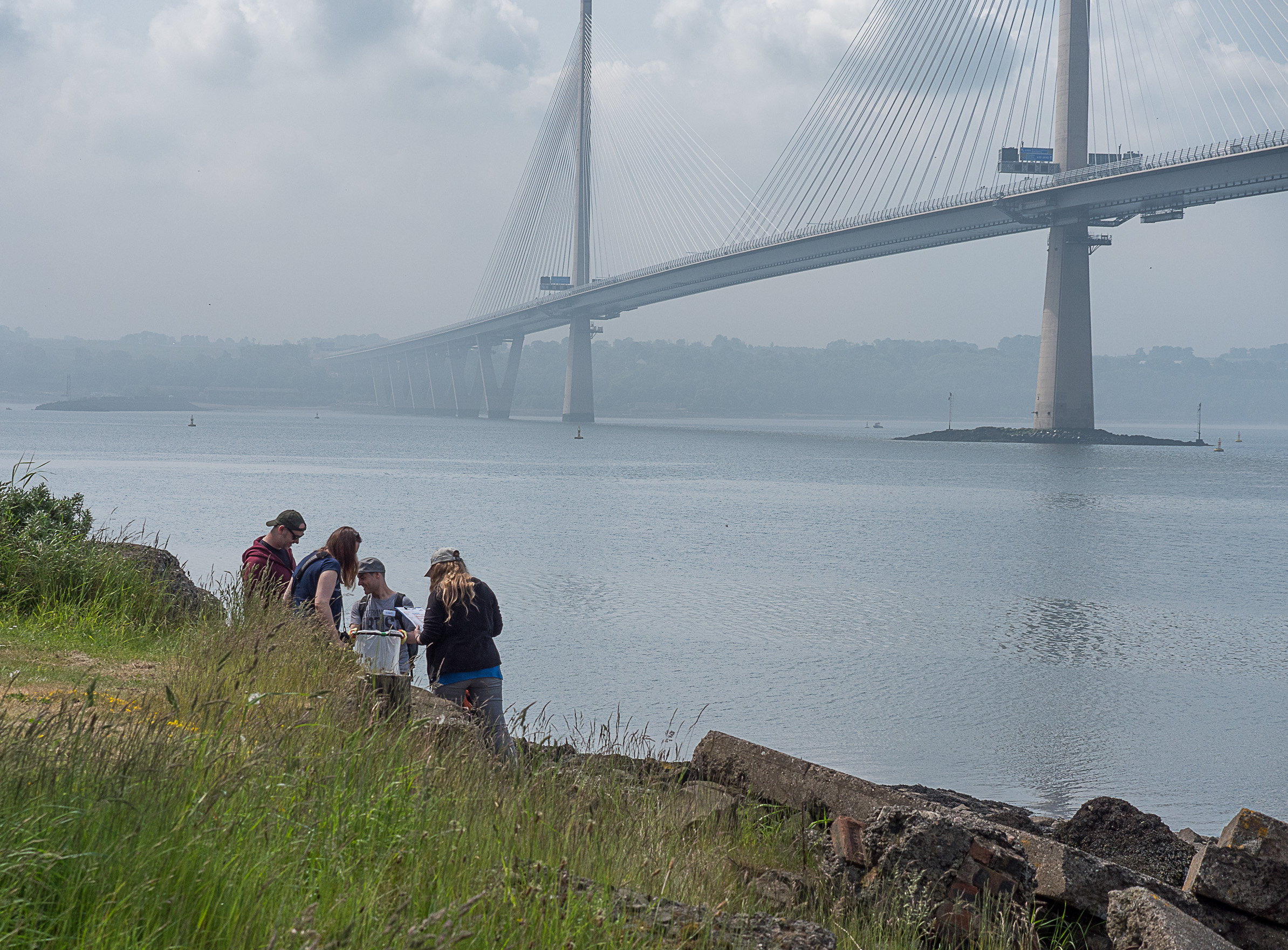 People looking for plastics on a rocky shore