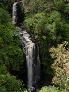 Lush green foliage with a double waterfall