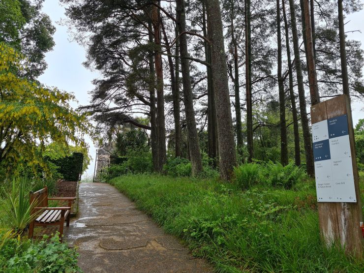 Bench, path to the castle, grass and trees