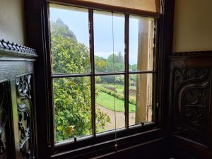 Window looking out to trees and paths