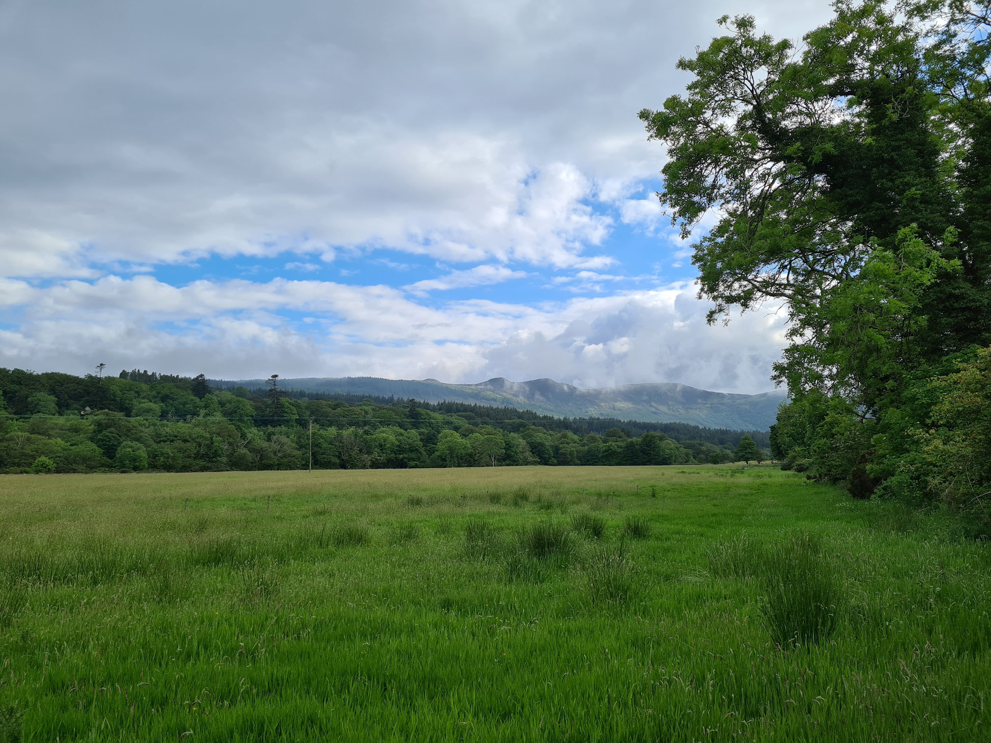 Green field, trees and hills