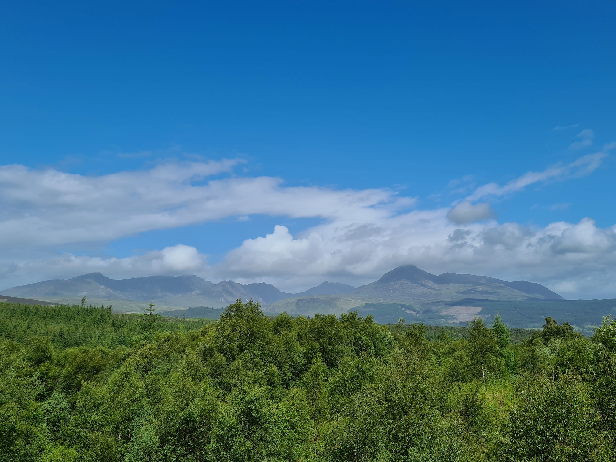 Trees and and the Arran mountains
