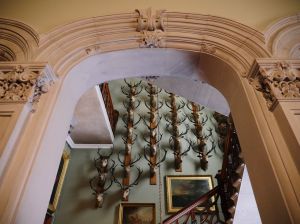 Arch and staircase, with stag heads and pictures on the wall