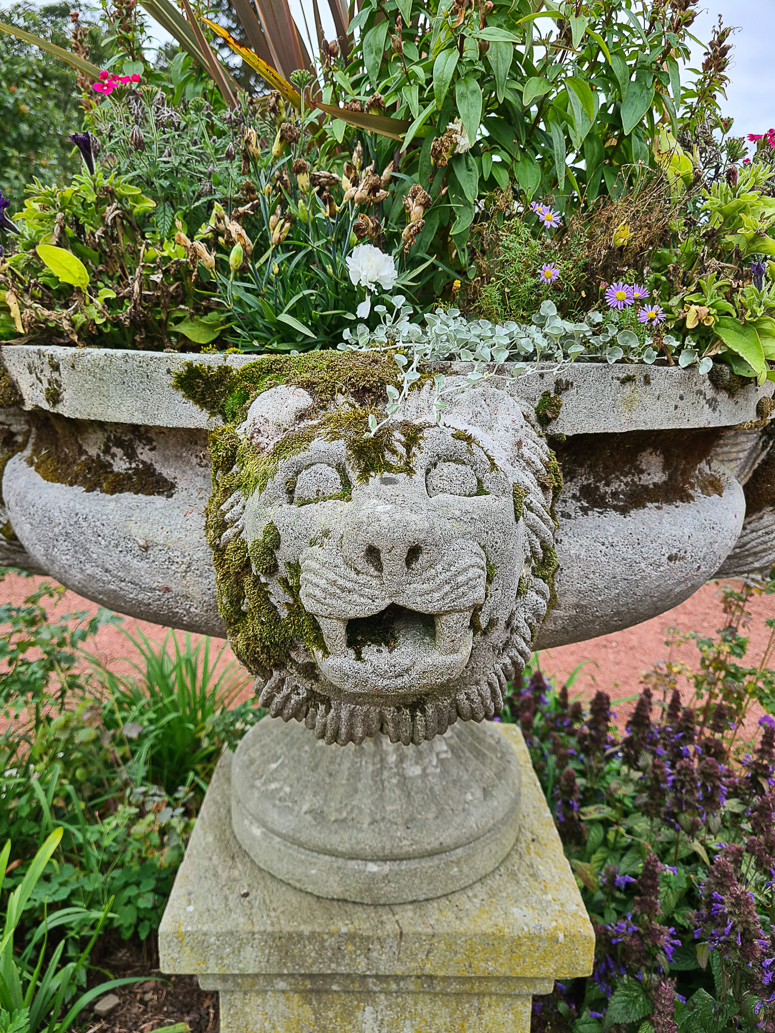 Stone lion plant holder