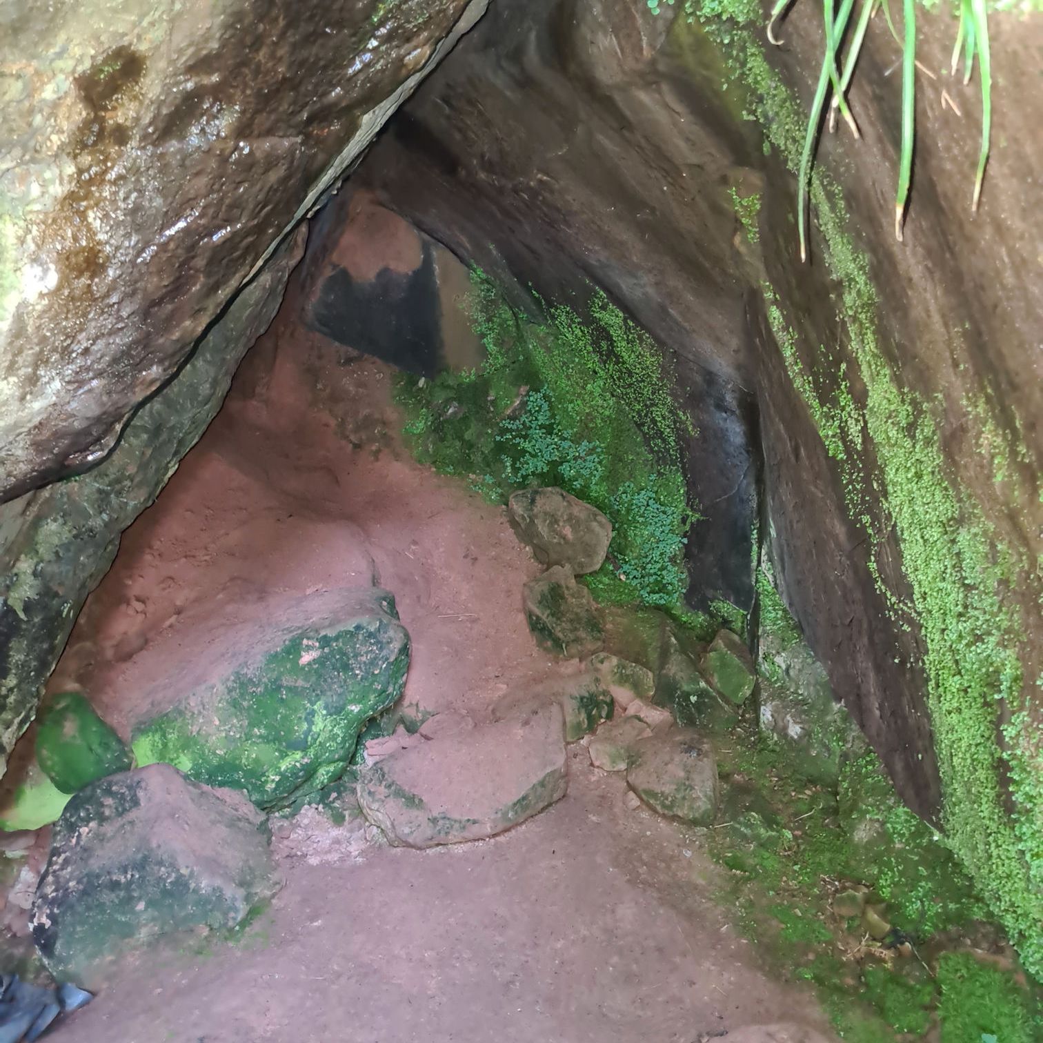 Entrance to Ossian's Cave