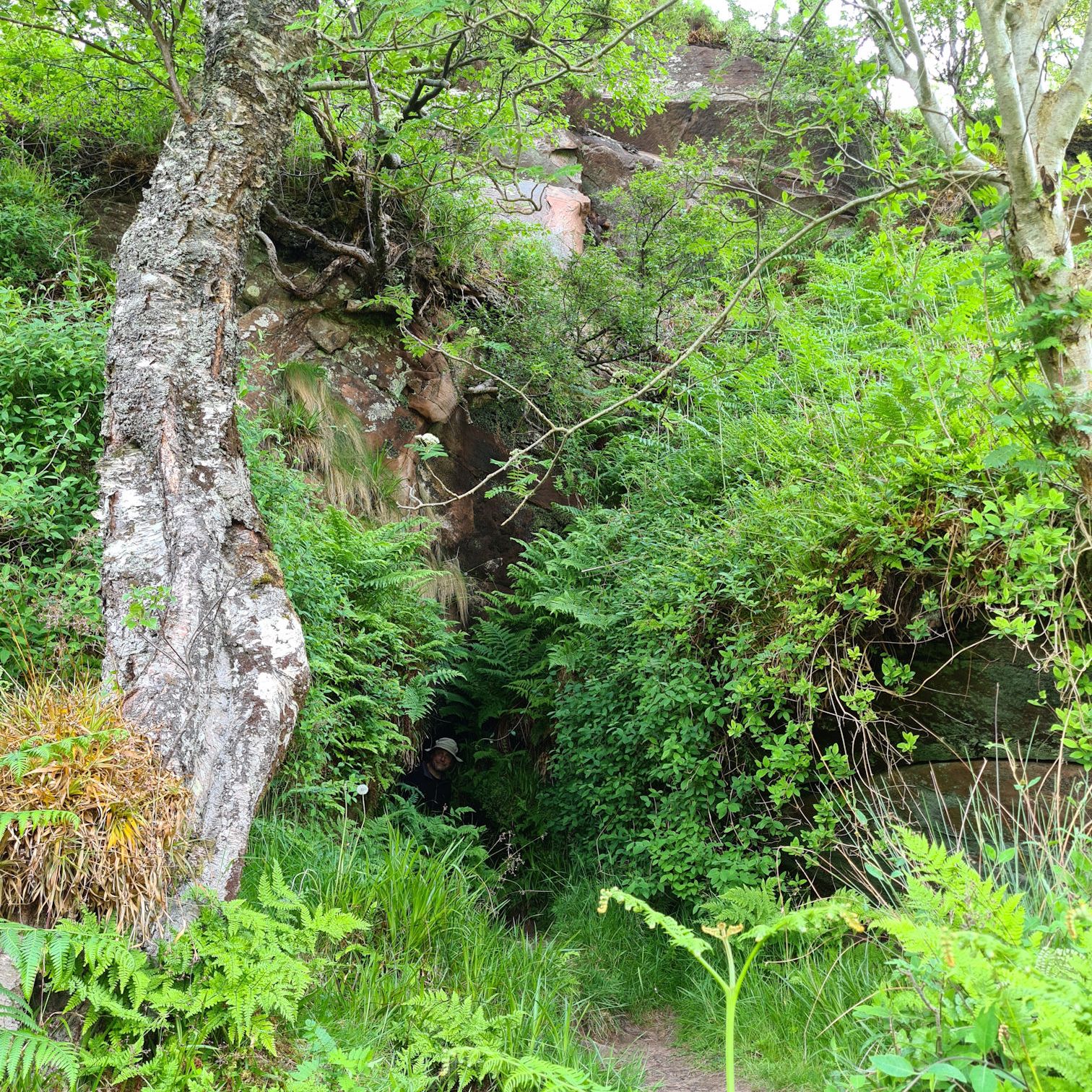Entrance to Ossian's Cave