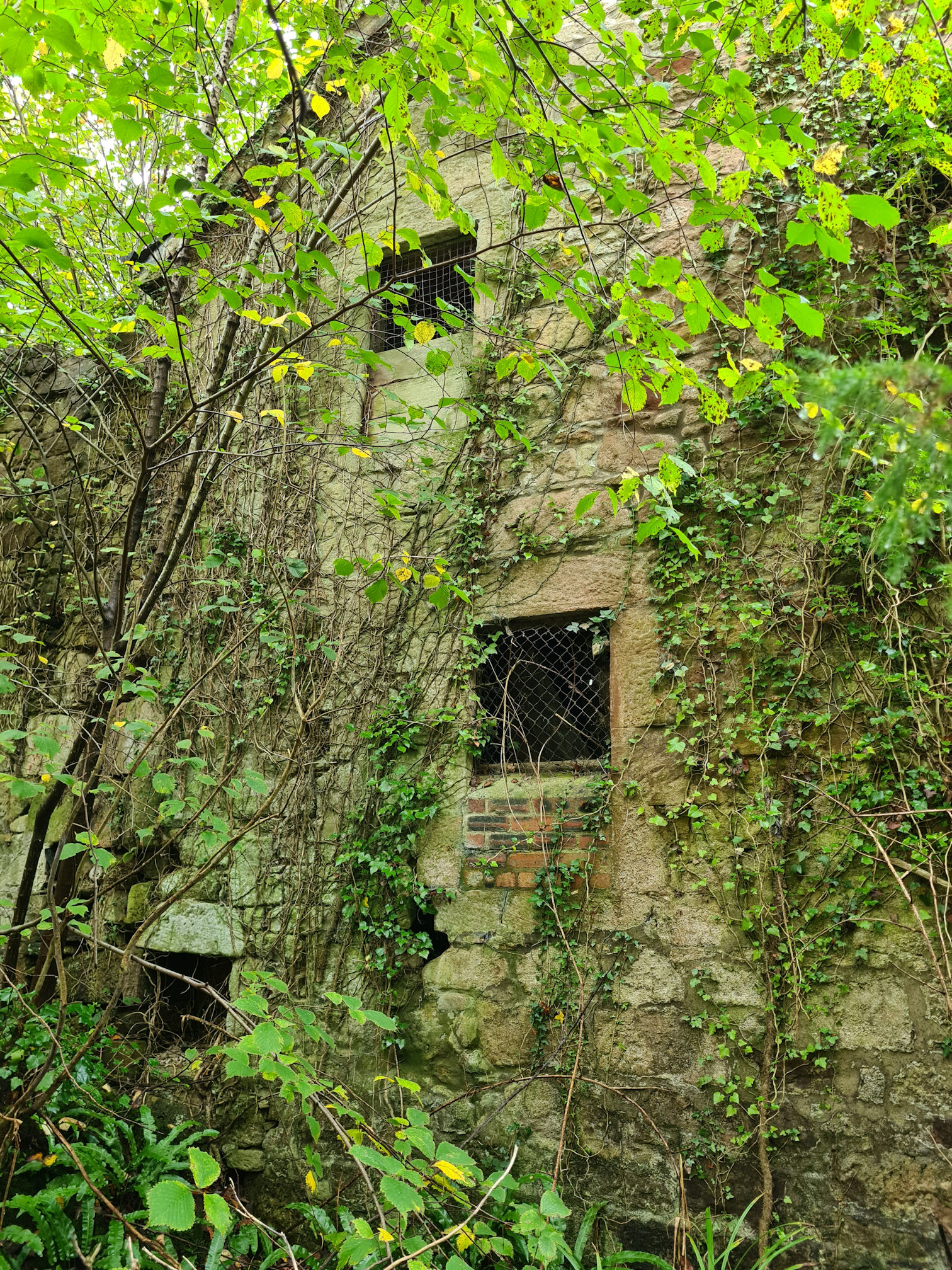 Ruins of an old building overgrown with foliage