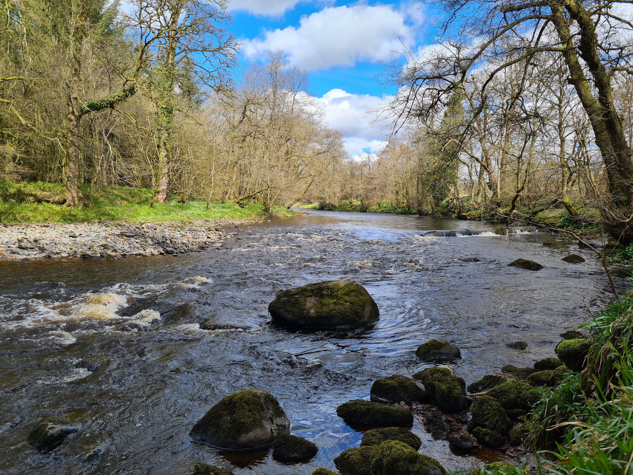 River Ayr Way near Catrine
