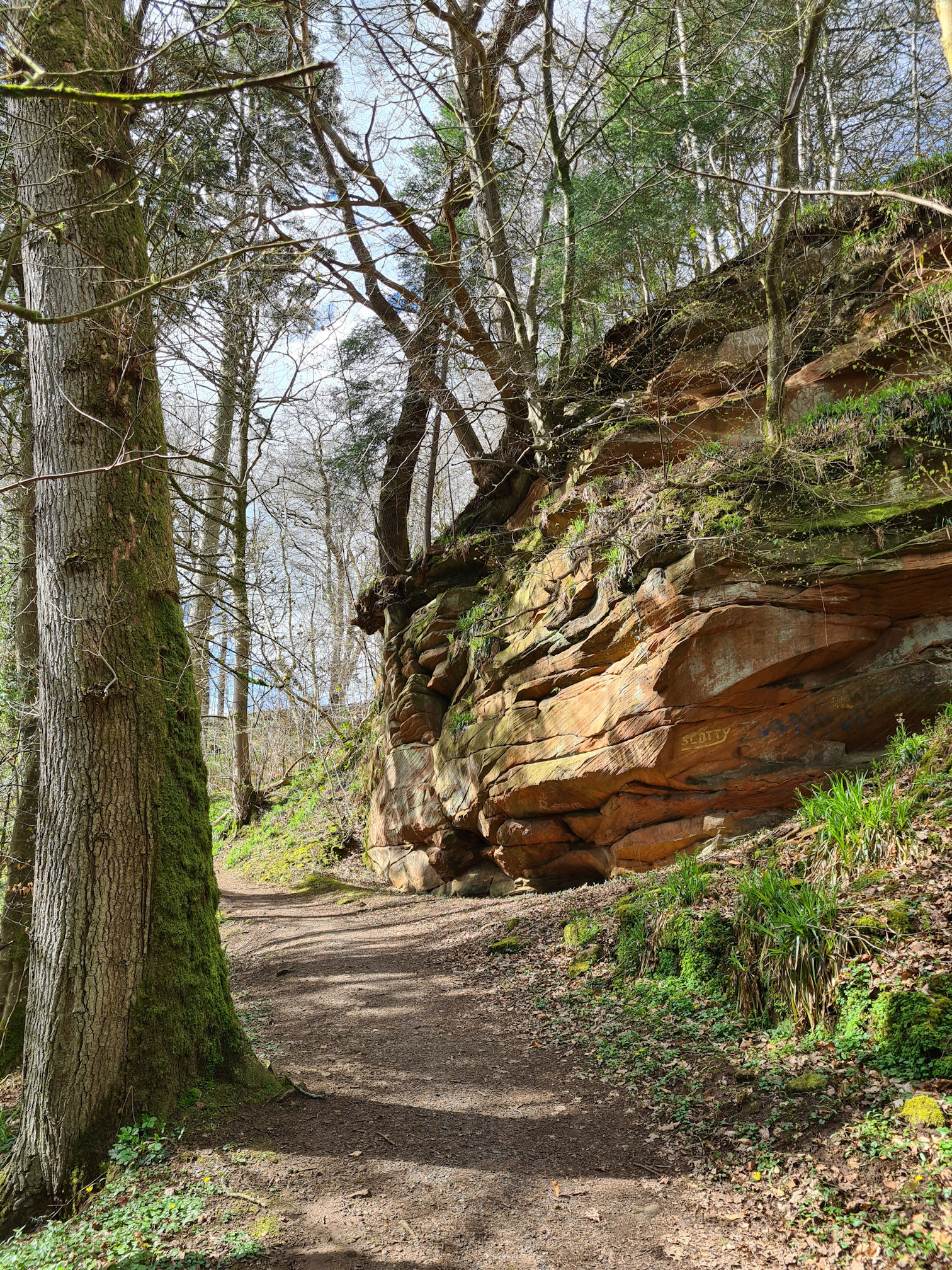 Mauchline Gorge and Woodlands