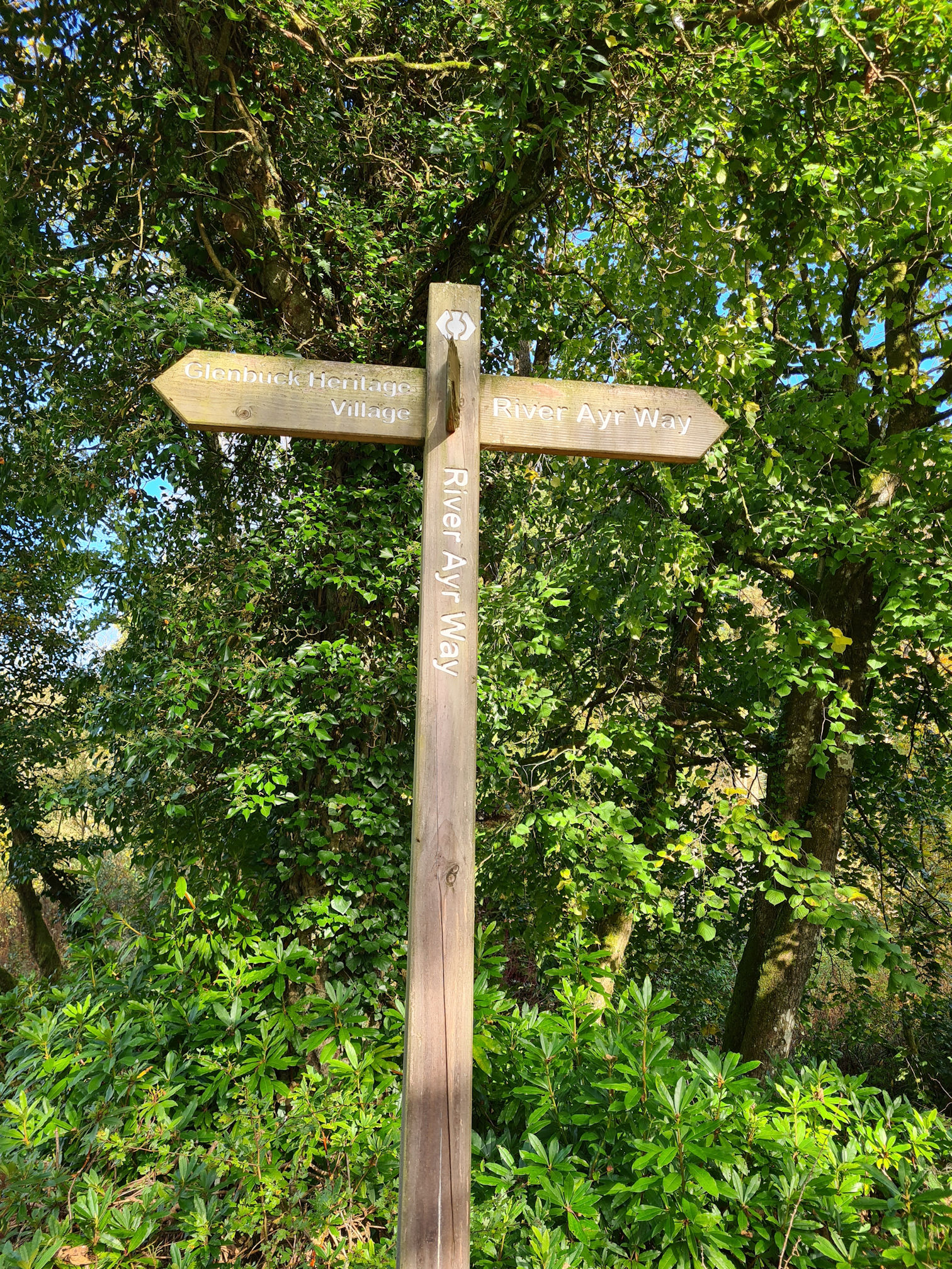 Wooden signpost showing the route for the River Ayr Way and Glenbuck Heritage Village