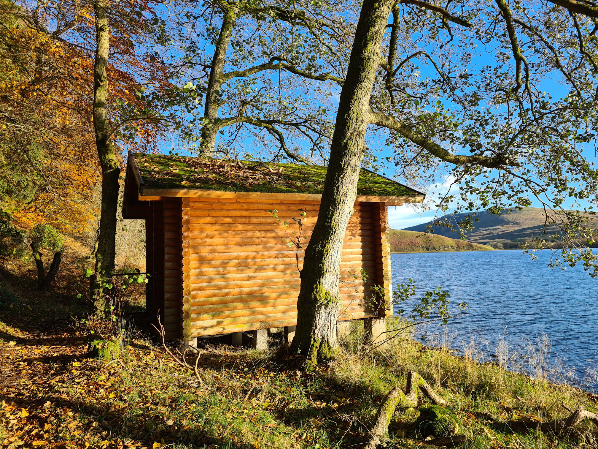 Wooden hut perched on the bank of a loch and some trees