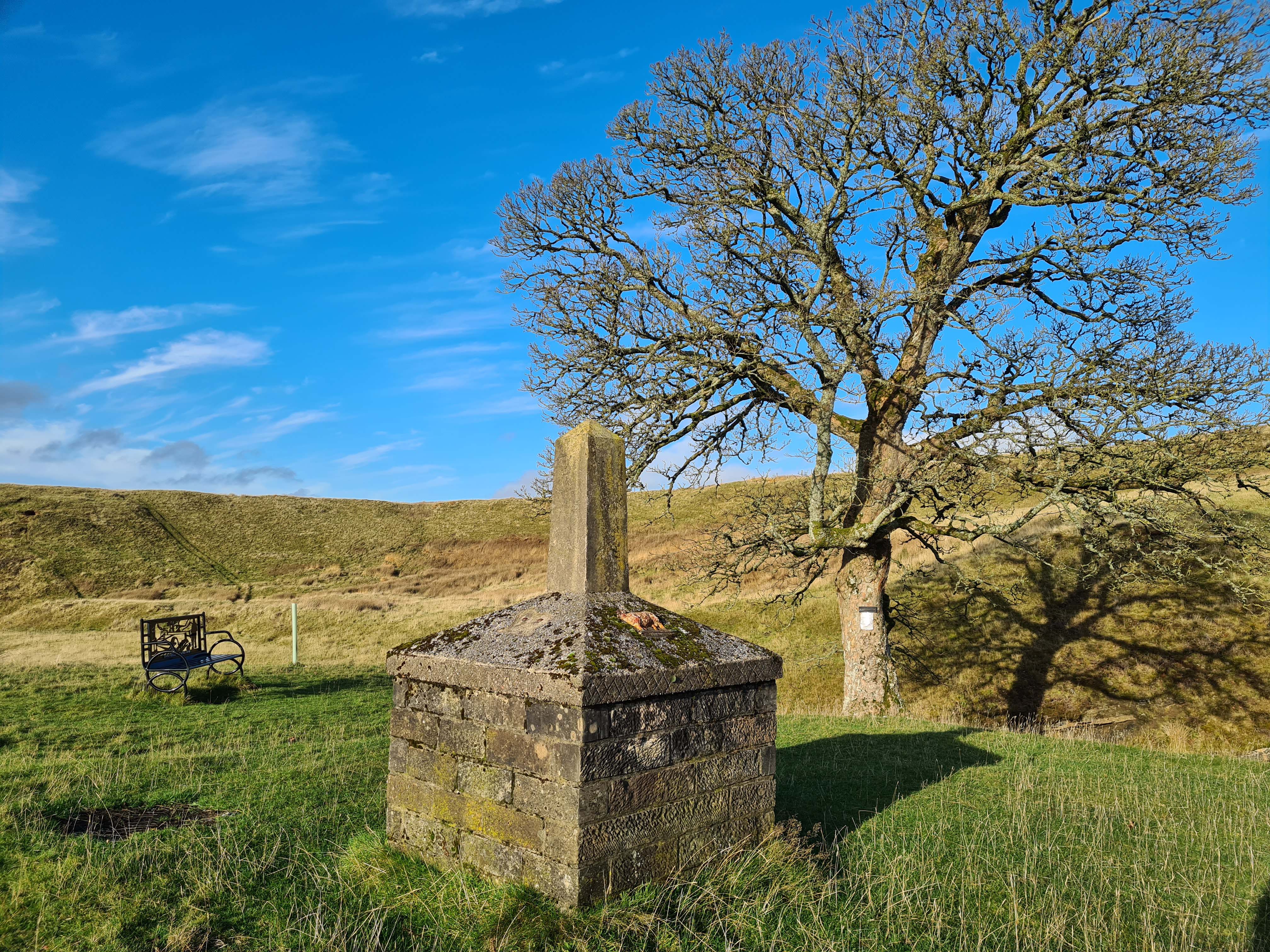 Stone memorial, bench and a beautiful bare leafed Sycamore tree