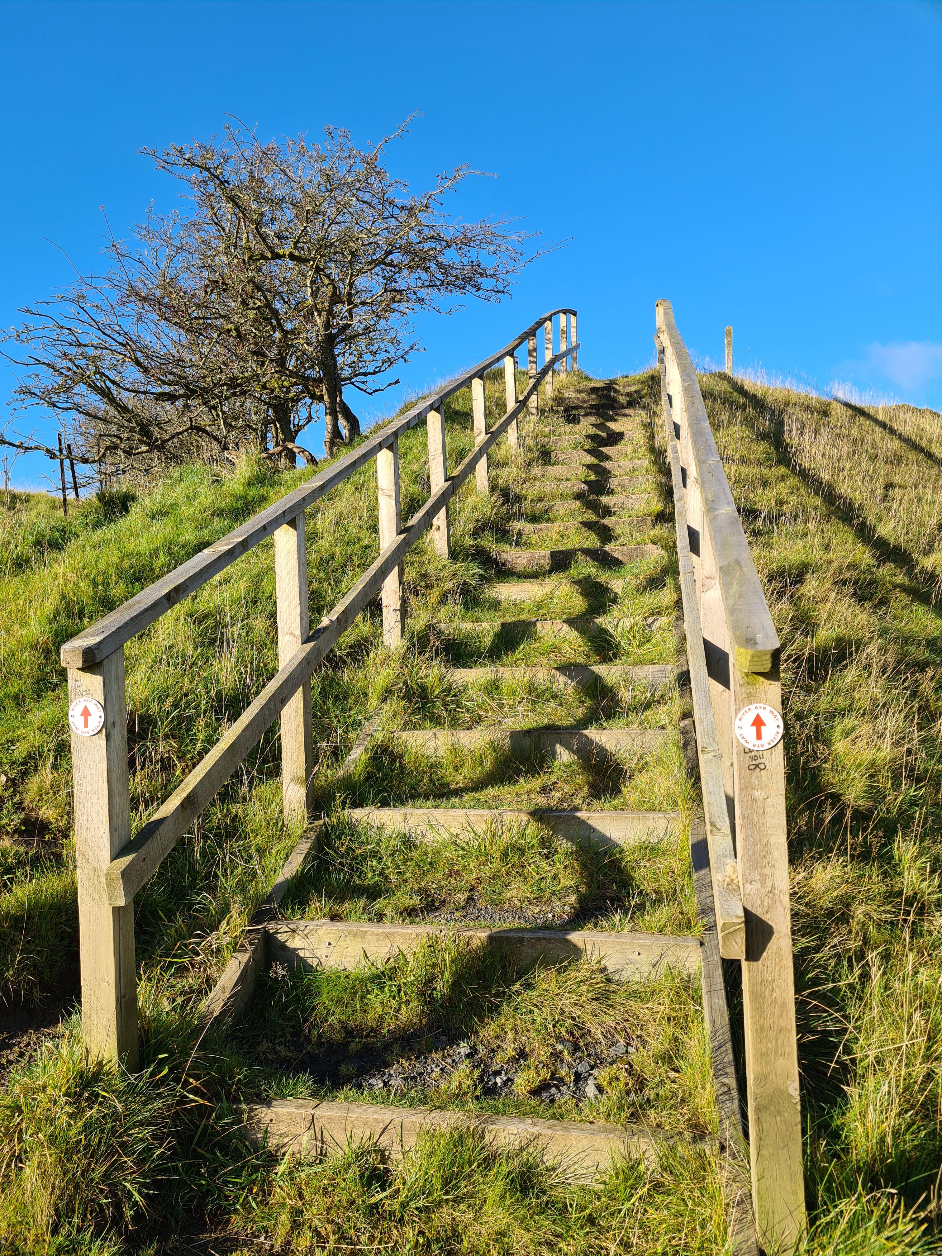 Wooden steps going upwards with two red arrows signposting the River Ayr Way walk