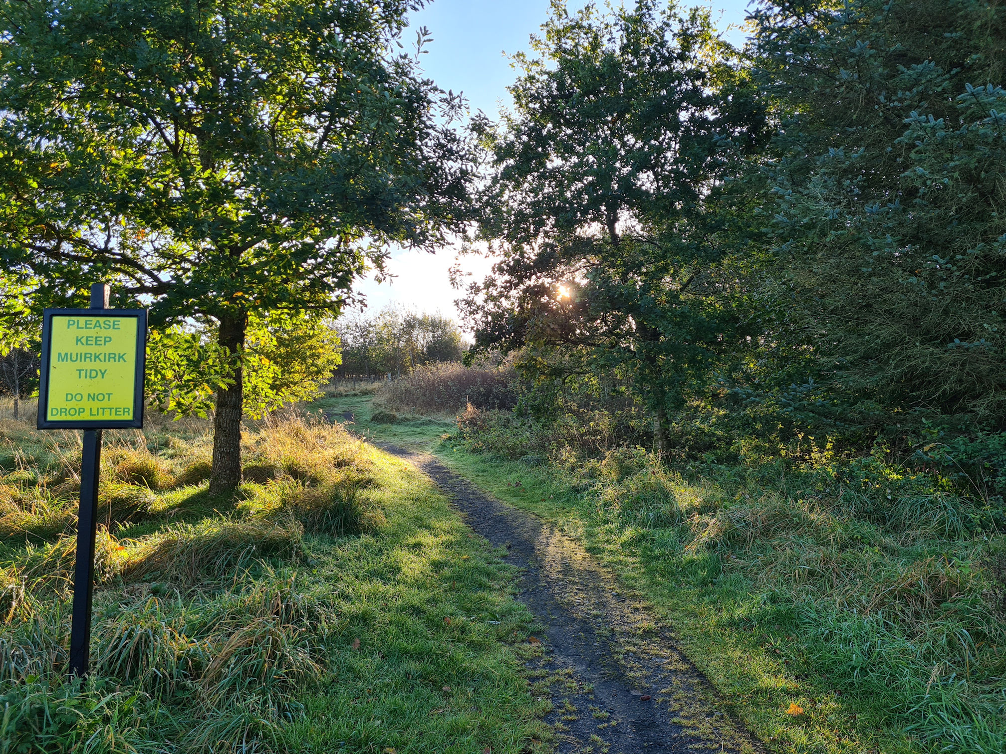 Soft morning light shining on a narrow path leading into trees and shrubs. Signpost says: "Please keep Muirkirk tidy - do not drop litter"
